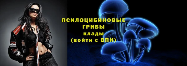 шишки Пестово