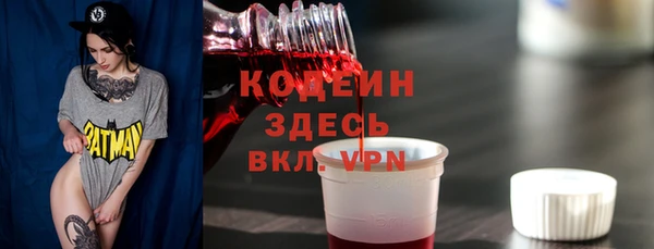 шишки Пестово