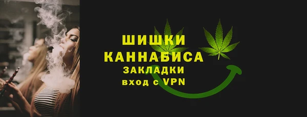 шишки Пестово