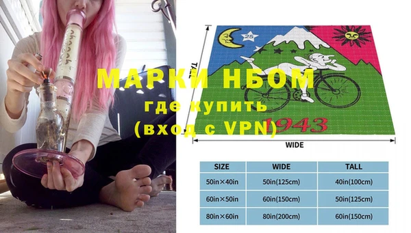 шишки Пестово