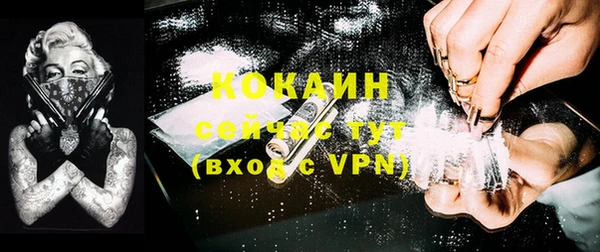 винт Гатчина