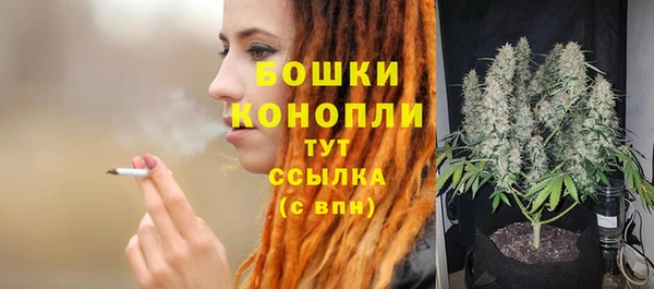 шишки Куйбышев
