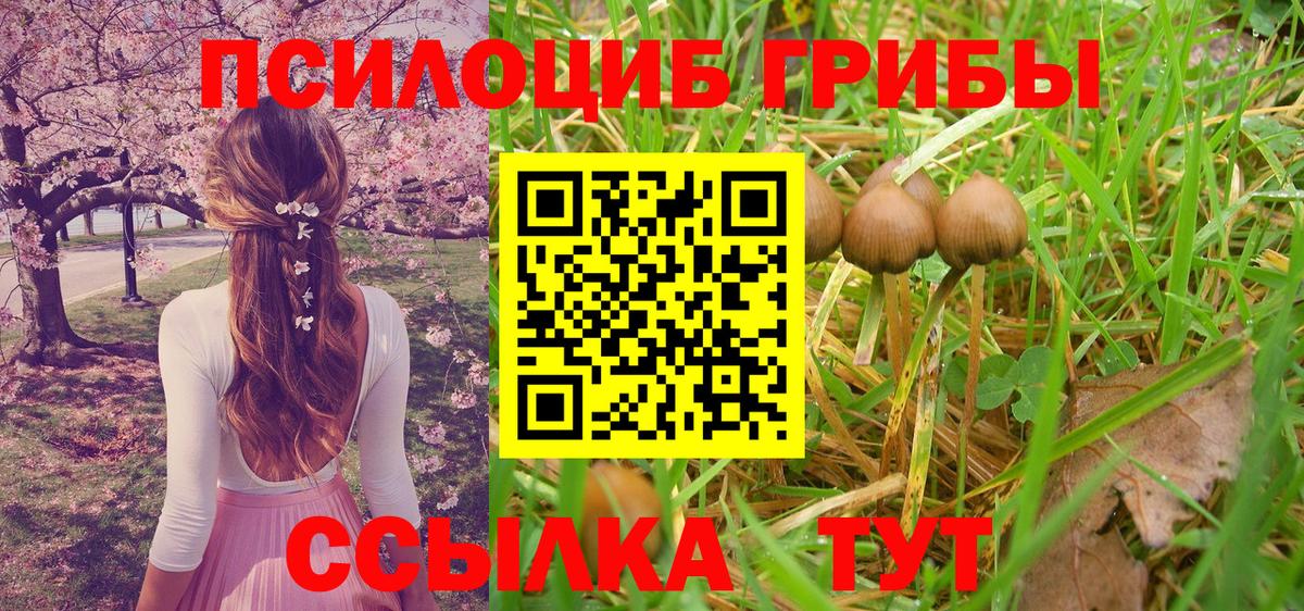 Коркино  Псилоцибиновые грибы Cubensis  Псилоцибиновые грибы Psilocybine cubensis  Вход с VPN 